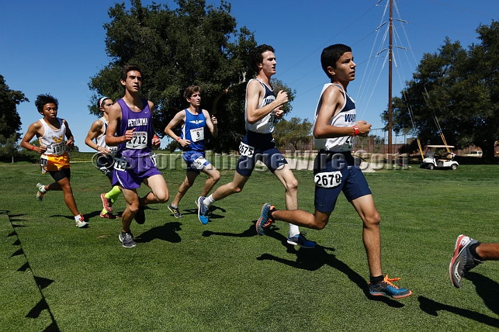 2015SIxcHSD3-038.JPG - 2015 Stanford Cross Country Invitational, September 26, Stanford Golf Course, Stanford, California.